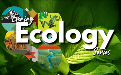 ecology-390x242.png
