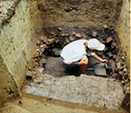 Excavating Lord Baltimore's Cellar