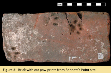 Image of a brick with cat paw prints impressed in the brick, from the Bennett's Point Site in Queen Anne's County.