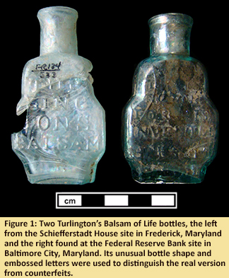 Figure 1: Two Turlington’s Balsam of Life bottles, the left from the Schiefferstadt House site in Frederick, Maryland and the right found at the Federal Reserve Bank site in Baltimore City, Maryland. Its unusual bottle shape and embossed letters were used to distinguish the real version from counterfeits.