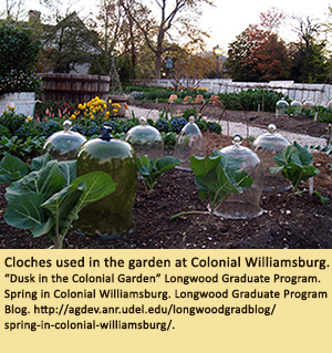 Cloches used in the garden at Colonial Williamsburg.