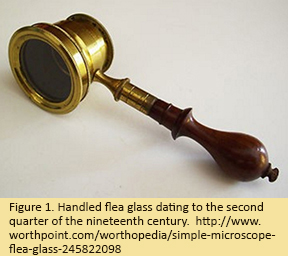 Handled flea glass dating to the second quarter of the nineteenth century.  http://www.worthpoint.com/worthopedia/simple-microscope-flea-glass-245822098