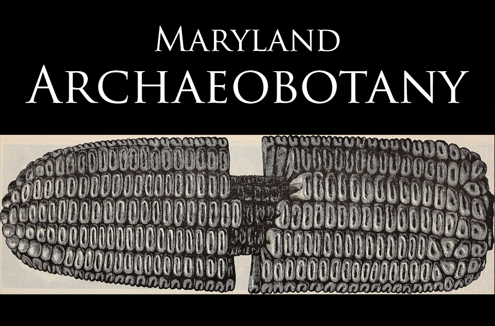 MAC-MarylandArchaeobotany