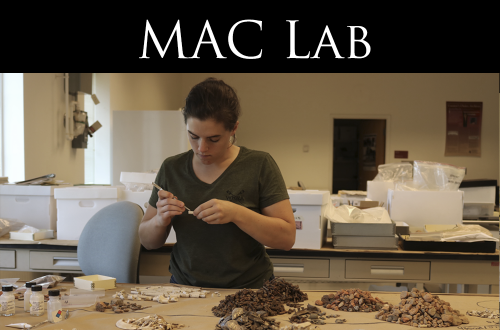 MAC Lab.png