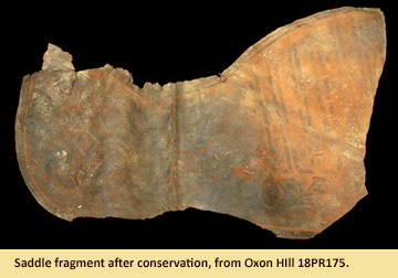 Image of saddle fragment after conservation displayed at the Visitor Center at JPPM.