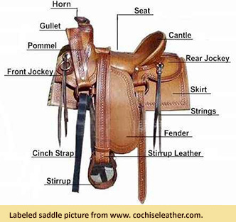 Image of saddle with labels describing different parts of the saddle, from www.cochiseleather.com.