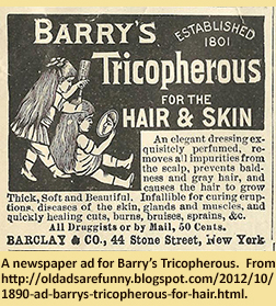 A newspaper ad for Barry’s Tricopherous.  From http://oldadsarefunny.blogspot.com/2012/10/1890-ad-barrys-tricopherous-for-hair.html.