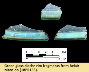 Green glass cloche rim fragments from Belair Mansion (18PR135).